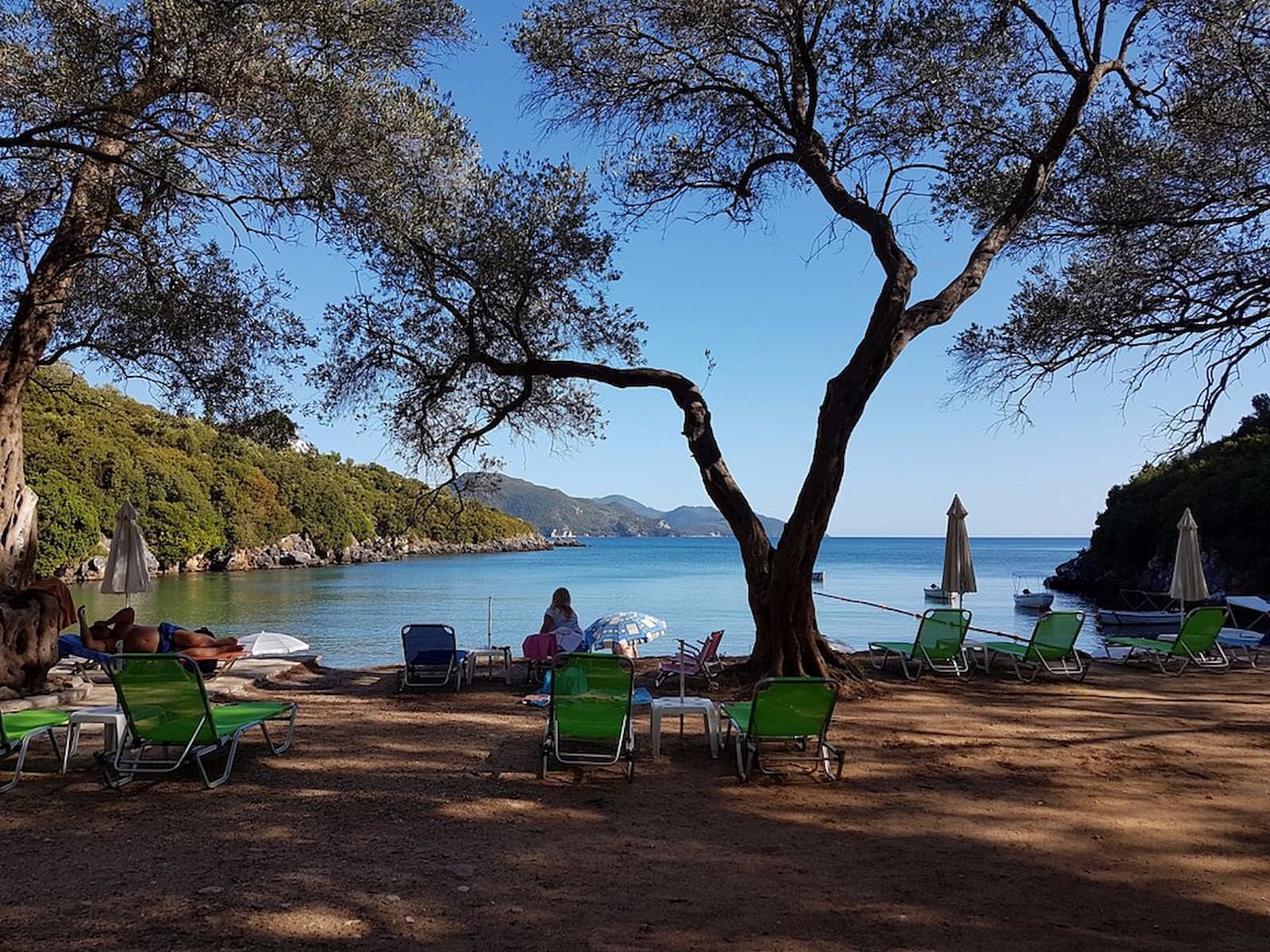 Zavia Beach in Sivota, Greece, with natural shade from trees beside the Ionian Sea